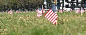 honor the fallen